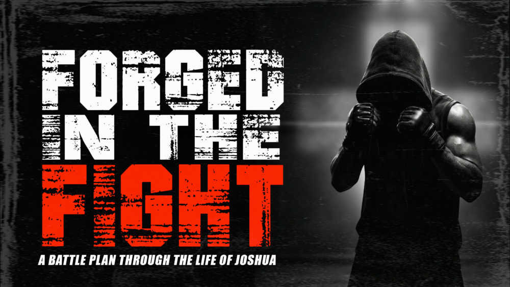 Forged In The Fight